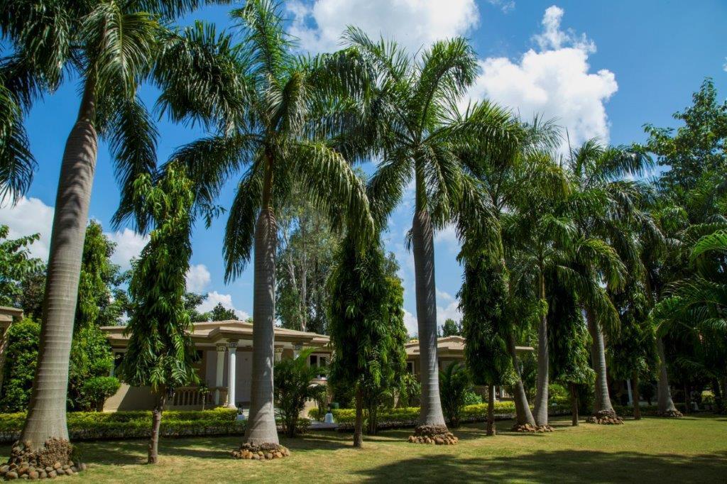Tiger'S Den Resort Bandhavgarh National Park Kültér fotó