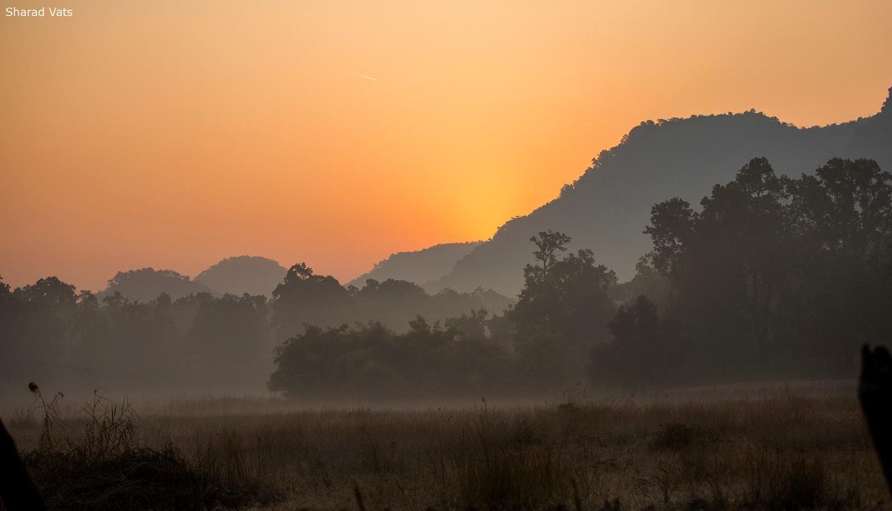 Tiger'S Den Resort Bandhavgarh National Park Kültér fotó